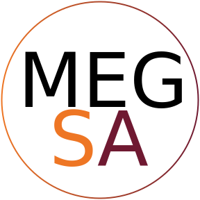 Vice President, Mechanical Engineering Graduate Student Association (MEGSA)