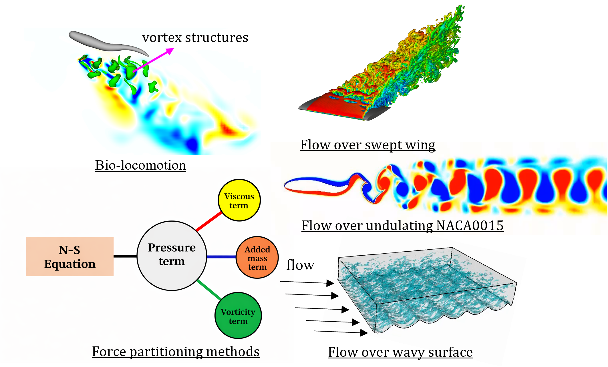 Artistic visualization of fluid mechanics and biological motion