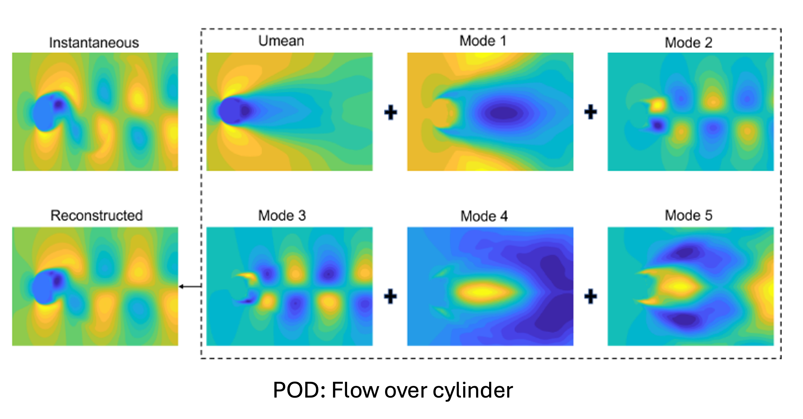 Opioid receptor with agonist